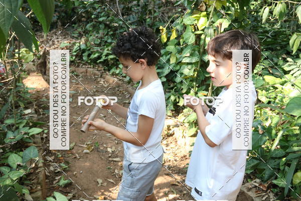 Buy your photos of the eventBeit Camp 2018 - 2 a 6 de julho - K3 a G5 on Fotop