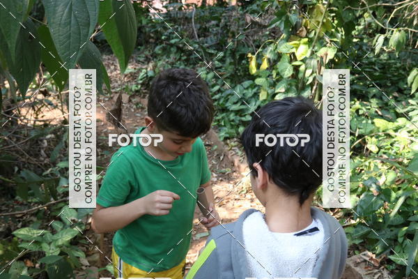 Buy your photos of the eventBeit Camp 2018 - 2 a 6 de julho - K3 a G5 on Fotop