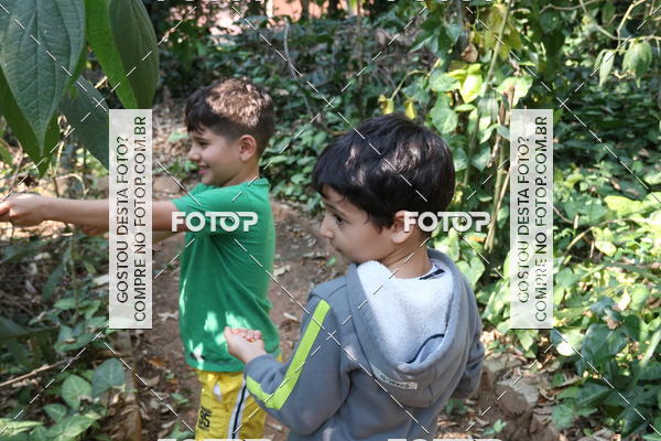 Buy your photos of the eventBeit Camp 2018 - 2 a 6 de julho - K3 a G5 on Fotop