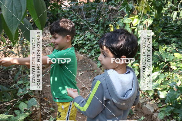 Buy your photos of the eventBeit Camp 2018 - 2 a 6 de julho - K3 a G5 on Fotop