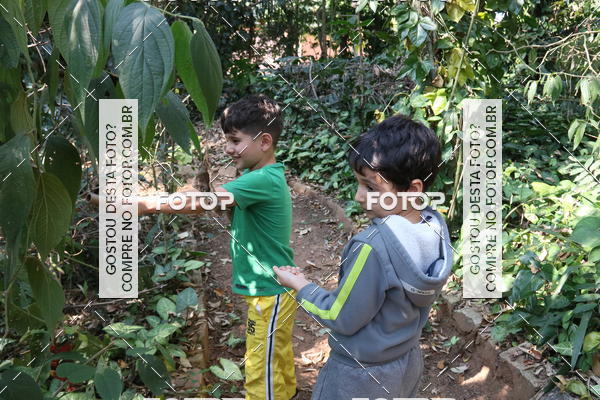 Buy your photos of the eventBeit Camp 2018 - 2 a 6 de julho - K3 a G5 on Fotop