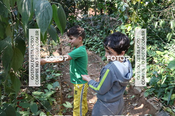 Buy your photos of the eventBeit Camp 2018 - 2 a 6 de julho - K3 a G5 on Fotop