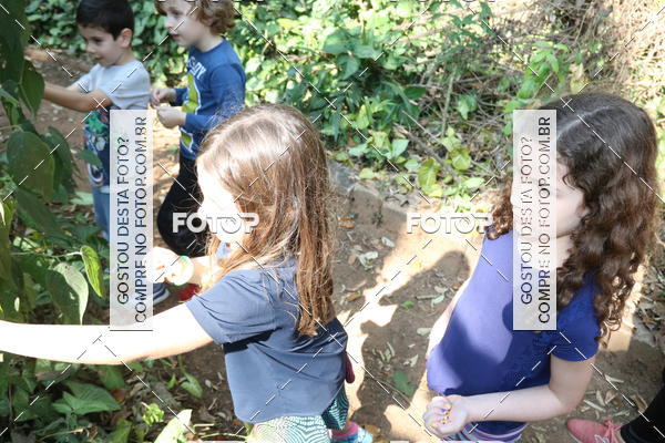 Buy your photos of the eventBeit Camp 2018 - 2 a 6 de julho - K3 a G5 on Fotop