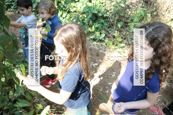 Buy your photos of the eventBeit Camp 2018 - 2 a 6 de julho - K3 a G5 on Fotop