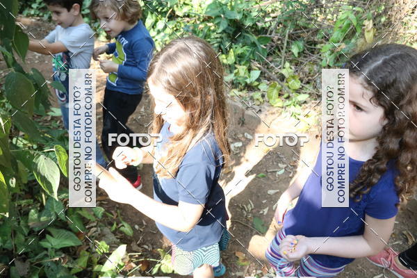 Buy your photos of the eventBeit Camp 2018 - 2 a 6 de julho - K3 a G5 on Fotop