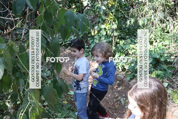 Buy your photos of the eventBeit Camp 2018 - 2 a 6 de julho - K3 a G5 on Fotop