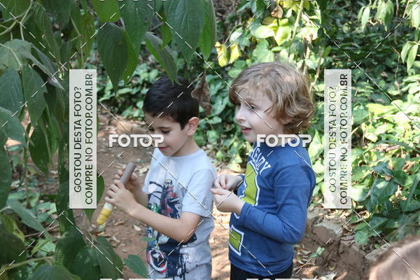 Buy your photos of the eventBeit Camp 2018 - 2 a 6 de julho - K3 a G5 on Fotop