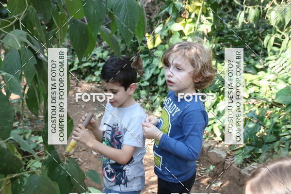 Buy your photos of the eventBeit Camp 2018 - 2 a 6 de julho - K3 a G5 on Fotop