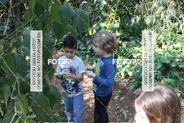 Buy your photos of the eventBeit Camp 2018 - 2 a 6 de julho - K3 a G5 on Fotop