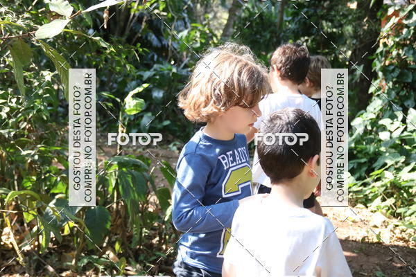 Buy your photos of the eventBeit Camp 2018 - 2 a 6 de julho - K3 a G5 on Fotop