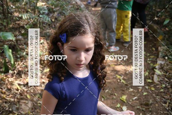 Buy your photos of the eventBeit Camp 2018 - 2 a 6 de julho - K3 a G5 on Fotop