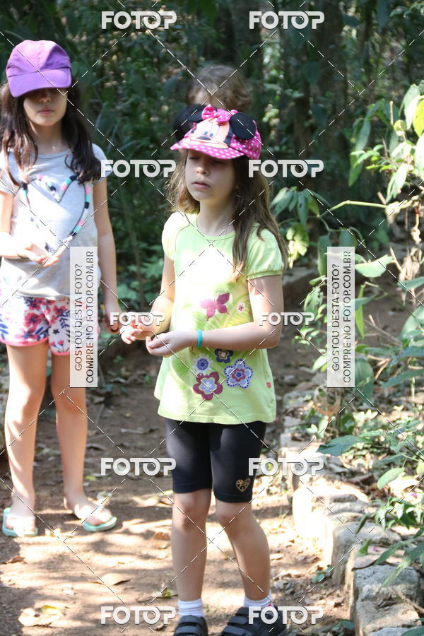 Buy your photos of the eventBeit Camp 2018 - 2 a 6 de julho - K3 a G5 on Fotop