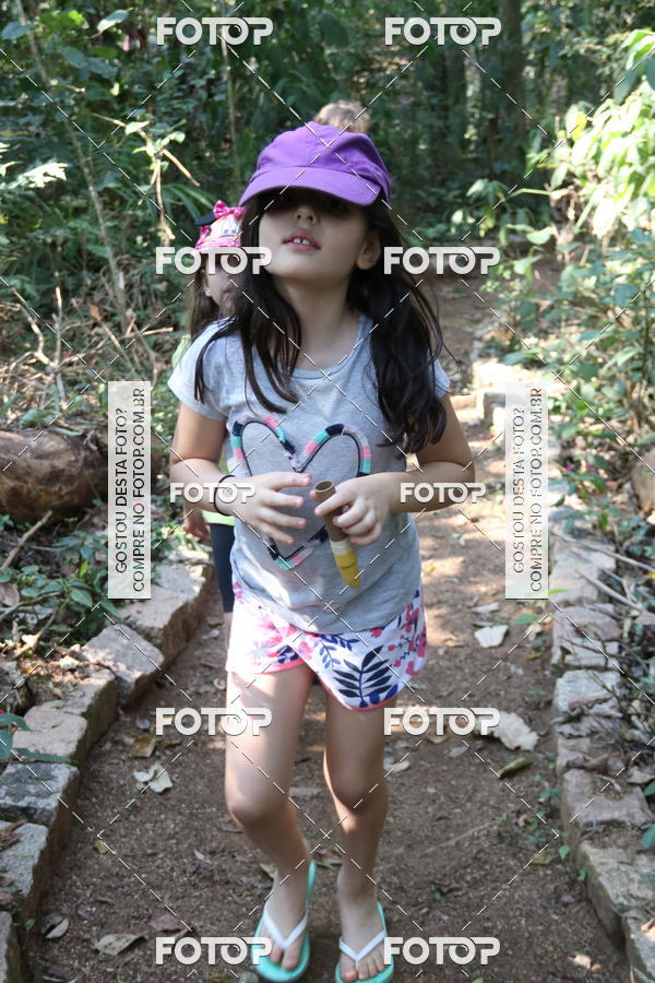 Buy your photos of the eventBeit Camp 2018 - 2 a 6 de julho - K3 a G5 on Fotop