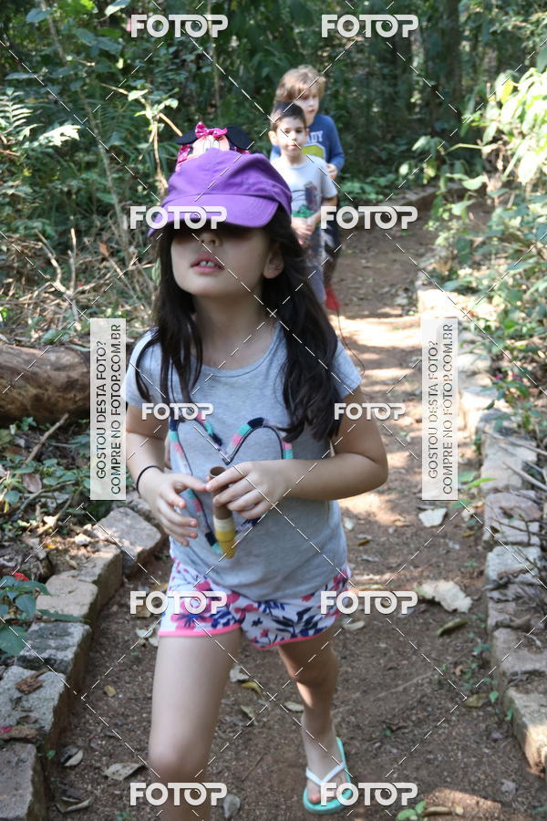 Buy your photos of the eventBeit Camp 2018 - 2 a 6 de julho - K3 a G5 on Fotop