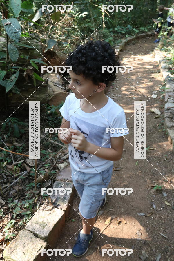 Buy your photos of the eventBeit Camp 2018 - 2 a 6 de julho - K3 a G5 on Fotop