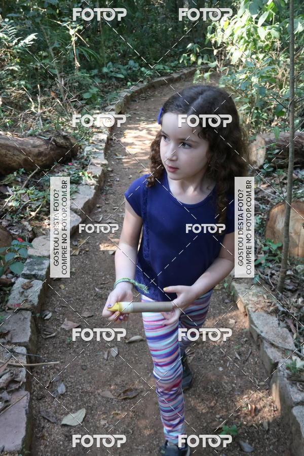 Buy your photos of the eventBeit Camp 2018 - 2 a 6 de julho - K3 a G5 on Fotop