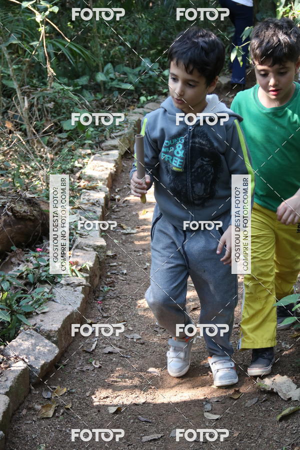 Buy your photos of the eventBeit Camp 2018 - 2 a 6 de julho - K3 a G5 on Fotop