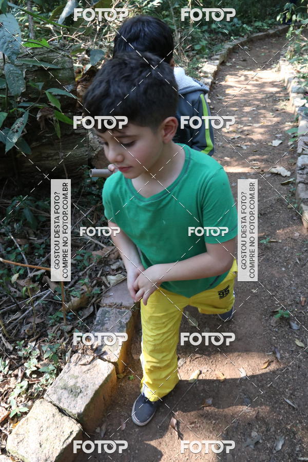 Buy your photos of the eventBeit Camp 2018 - 2 a 6 de julho - K3 a G5 on Fotop