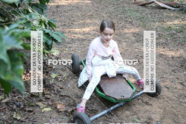 Buy your photos of the eventBeit Camp 2018 - 2 a 6 de julho - K3 a G5 on Fotop