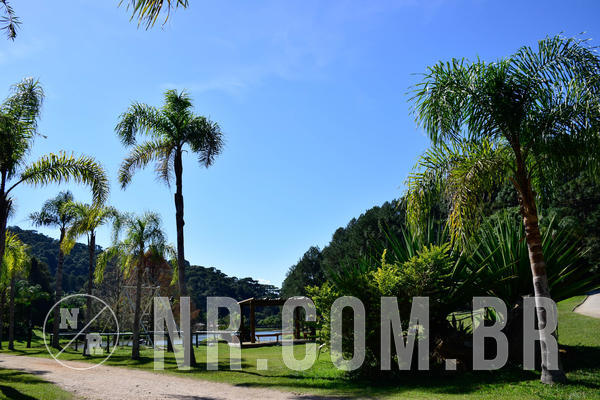 Buy your photos of the eventNR2 - Acampamento de Jovens 27 a 29/06/18 on Fotop