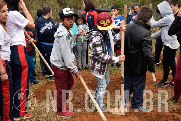 Buy your photos of the eventNR2 - Acampamento de Jovens 27 a 29/06/18 on Fotop