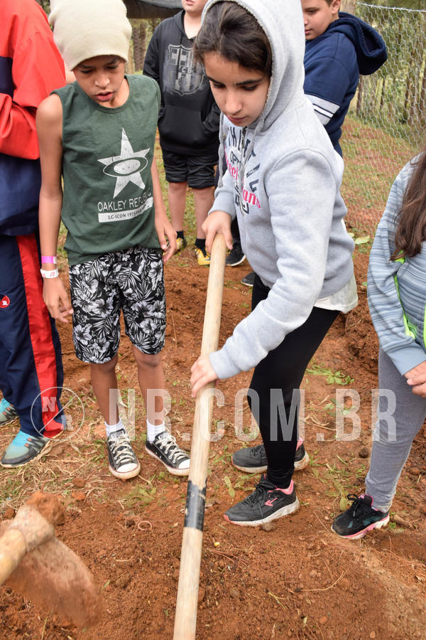 Buy your photos of the eventNR2 - Acampamento de Jovens 27 a 29/06/18 on Fotop