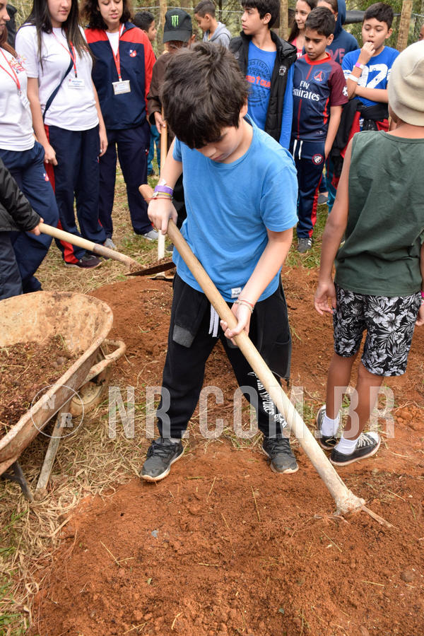 Buy your photos of the eventNR2 - Acampamento de Jovens 27 a 29/06/18 on Fotop