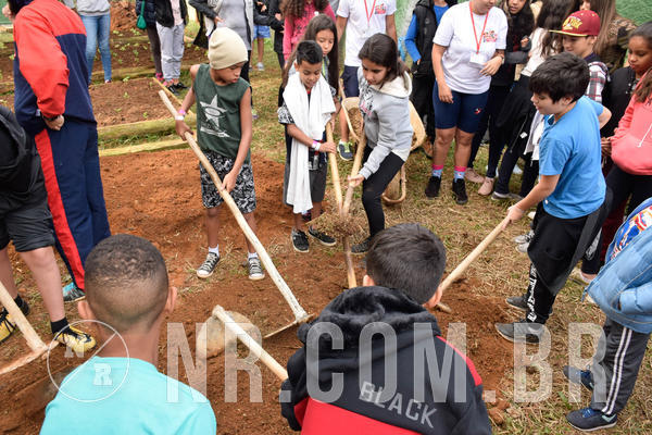 Buy your photos of the eventNR2 - Acampamento de Jovens 27 a 29/06/18 on Fotop
