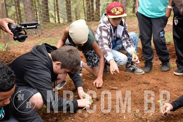 Buy your photos of the eventNR2 - Acampamento de Jovens 27 a 29/06/18 on Fotop