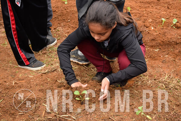 Buy your photos of the eventNR2 - Acampamento de Jovens 27 a 29/06/18 on Fotop