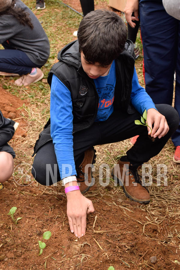 Buy your photos of the eventNR2 - Acampamento de Jovens 27 a 29/06/18 on Fotop