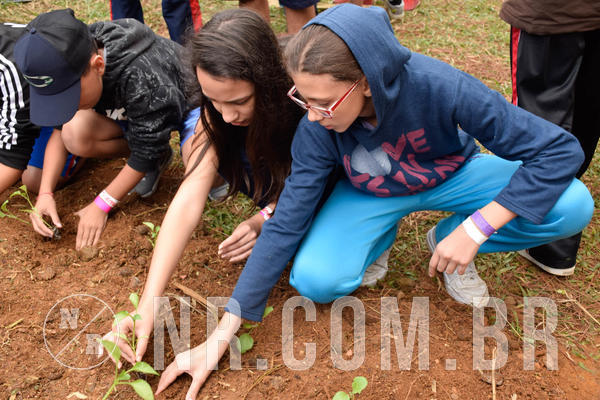 Buy your photos of the eventNR2 - Acampamento de Jovens 27 a 29/06/18 on Fotop