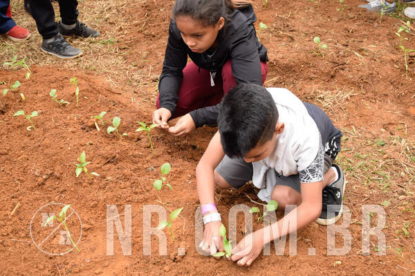 Buy your photos of the eventNR2 - Acampamento de Jovens 27 a 29/06/18 on Fotop