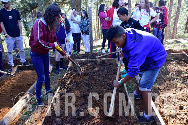 Buy your photos of the eventNR2 - Acampamento de Jovens 27 a 29/06/18 on Fotop