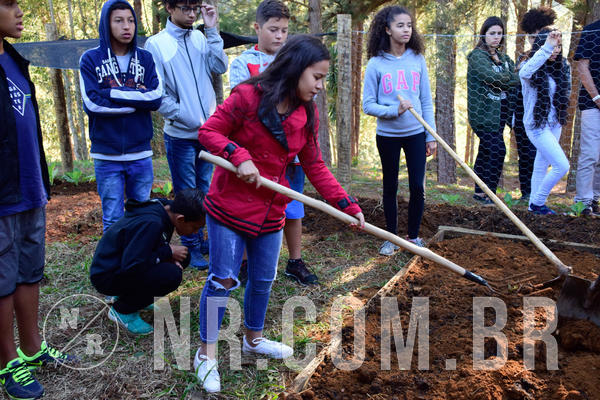 Buy your photos of the eventNR2 - Acampamento de Jovens 27 a 29/06/18 on Fotop