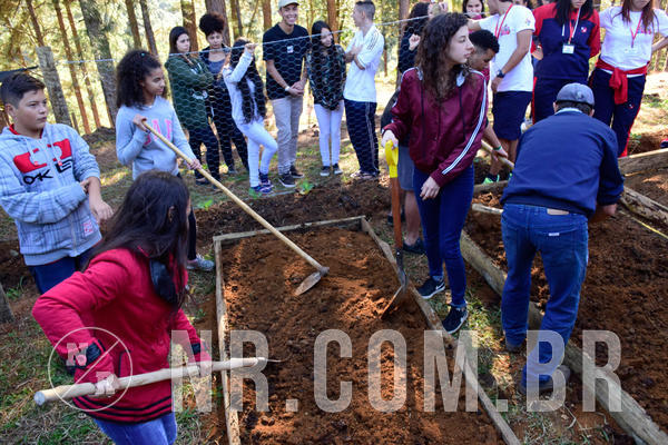 Buy your photos of the eventNR2 - Acampamento de Jovens 27 a 29/06/18 on Fotop