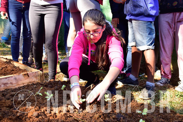 Buy your photos of the eventNR2 - Acampamento de Jovens 27 a 29/06/18 on Fotop