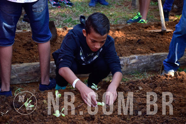 Buy your photos of the eventNR2 - Acampamento de Jovens 27 a 29/06/18 on Fotop