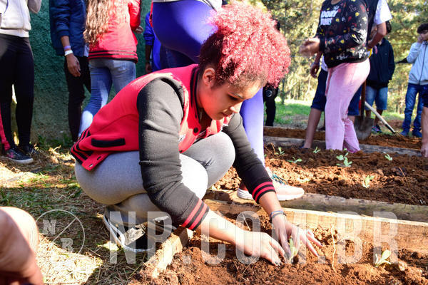 Buy your photos of the eventNR2 - Acampamento de Jovens 27 a 29/06/18 on Fotop