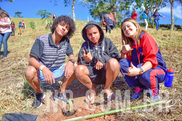 Buy your photos of the eventNR2 - Acampamento de Jovens 27 a 29/06/18 on Fotop