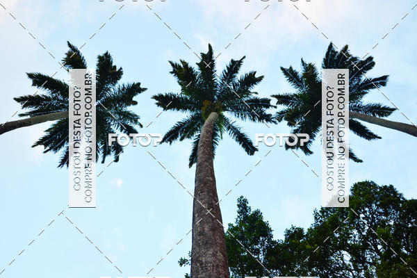 Buy your photos of the eventVIII CICORRE - Praa da Vrzea - Recife on Fotop