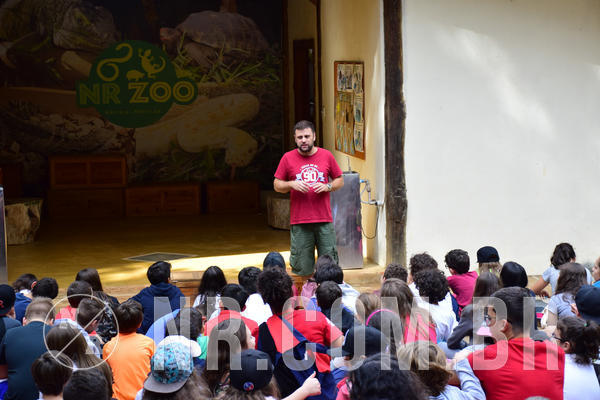 Buy your photos of the eventNR1 - Cl�ssico de 28 a 01/07/18 on Fotop