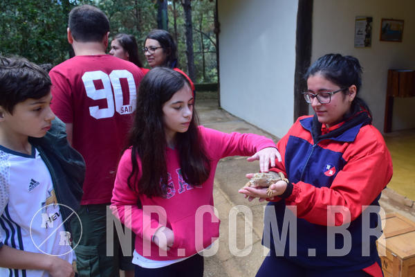 Buy your photos of the eventNR1 - Cl�ssico de 28 a 01/07/18 on Fotop