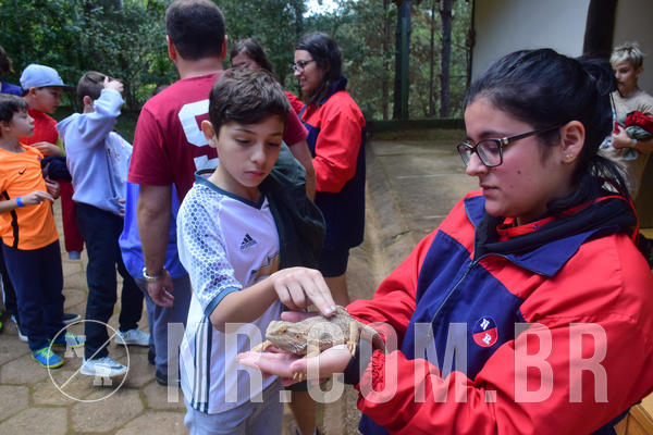 Buy your photos of the eventNR1 - Cl�ssico de 28 a 01/07/18 on Fotop