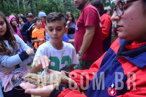 Buy your photos of the eventNR1 - Cl�ssico de 28 a 01/07/18 on Fotop