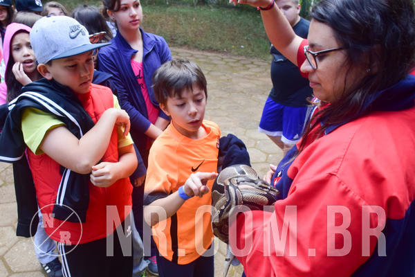 Buy your photos of the eventNR1 - Cl�ssico de 28 a 01/07/18 on Fotop