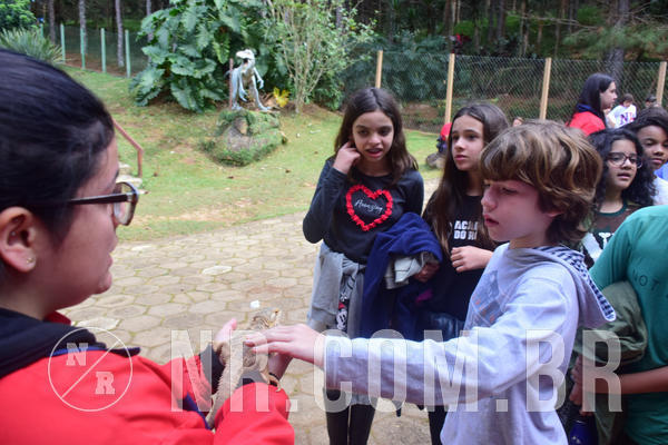 Buy your photos of the eventNR1 - Cl�ssico de 28 a 01/07/18 on Fotop