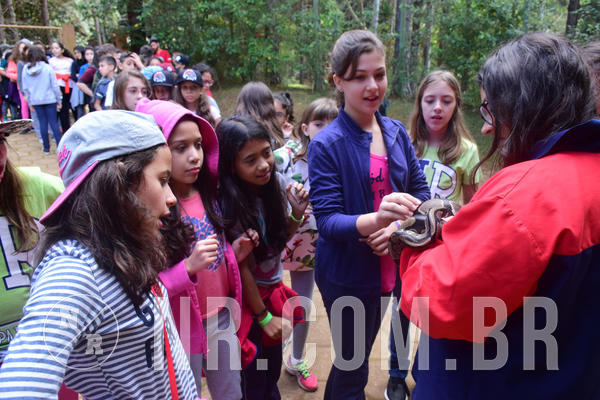 Buy your photos of the eventNR1 - Cl�ssico de 28 a 01/07/18 on Fotop