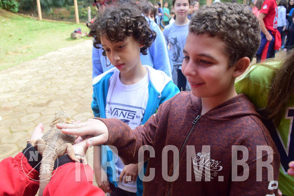 Buy your photos of the eventNR1 - Cl�ssico de 28 a 01/07/18 on Fotop