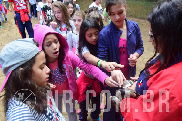 Buy your photos of the eventNR1 - Cl�ssico de 28 a 01/07/18 on Fotop